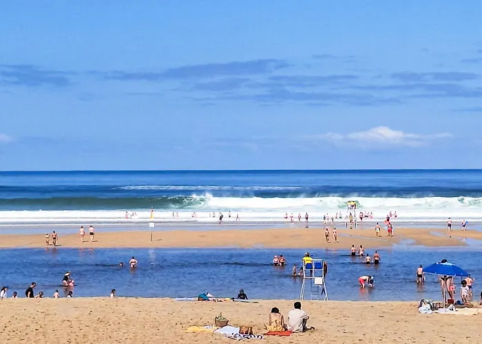 Lejlighed Bleuet By Interhome Mimizan-Plage